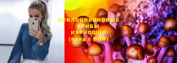 гашик Карпинск