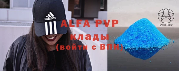 гашик Карпинск
