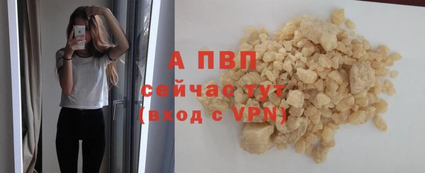 гашик Карпинск