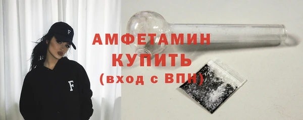 гашик Карпинск