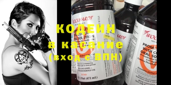 гашик Карпинск