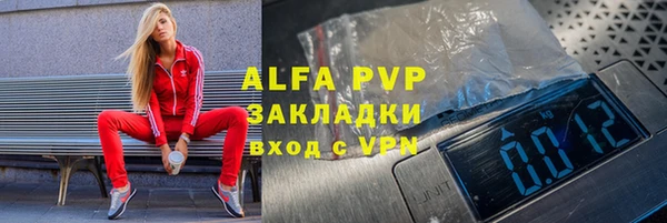 гашик Карпинск