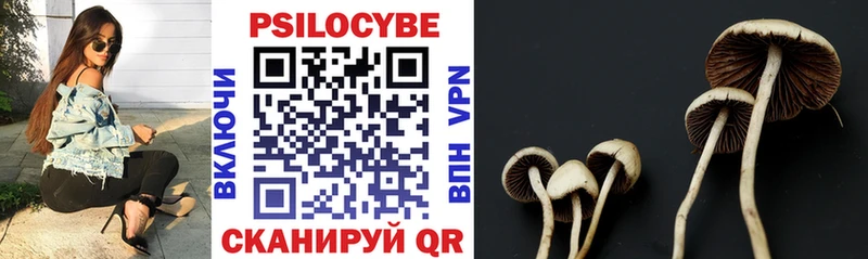 Купить где  Малмыж  Псилоцибиновые грибы GOLDEN TEACHER 